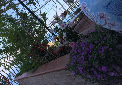 Bed And Breakfast Residence La Terrazza Sul Mare